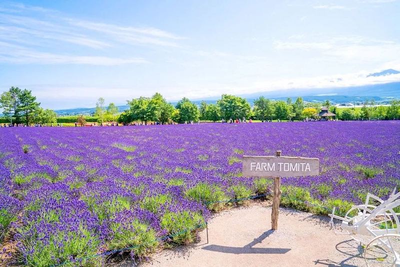 闪婚后悔了能离吗？这篇文章帮你理清思路