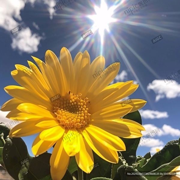 财富心态 | 全职妈妈焦虑怎么缓解的亲身经历：从崩溃到释然，我用了三个月