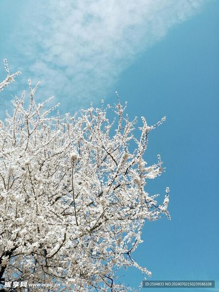 夫妻感情变淡了怎么办背后的心理学原理，看完就明白了