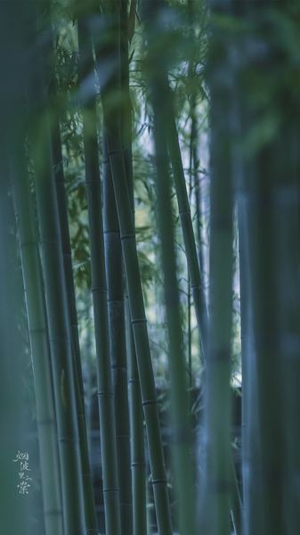 深度好文：容貌焦虑怎么克服的心理学真相