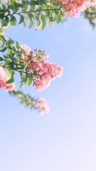 被生活击倒了怎么站起来：一个过来人的血泪教训