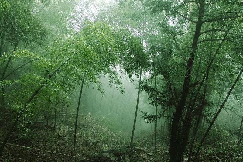 30岁还没谈过恋爱正常吗？换个角度想，问题就解决了一半