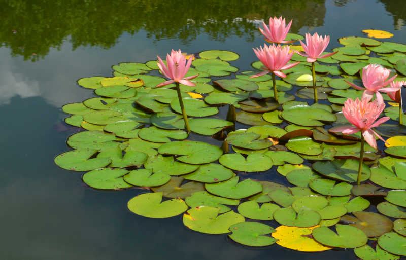 同事关系勾心斗角怎么办：你需要知道的几个关键点