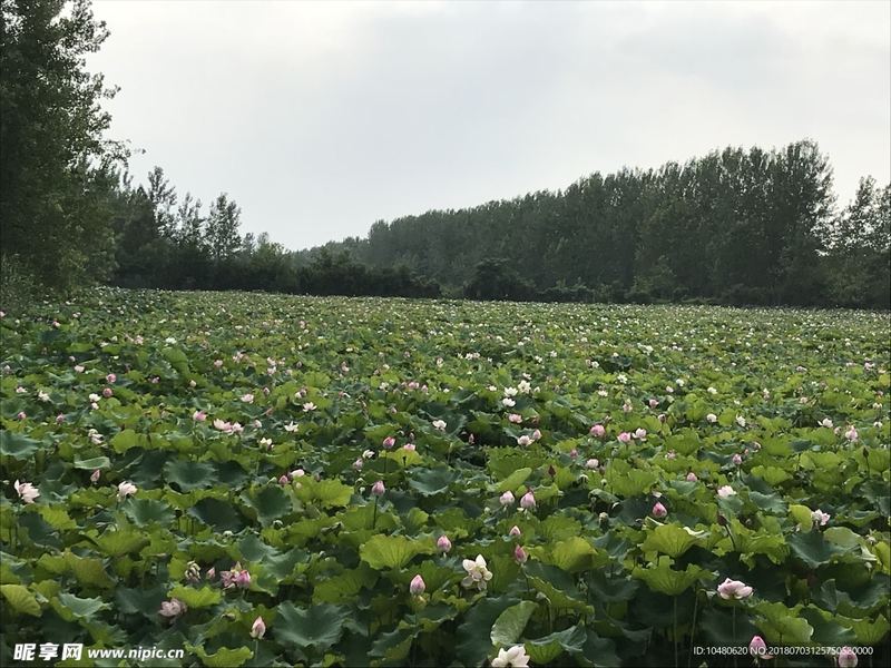 白羊座和什么星座最配：你需要知道的几个关键点