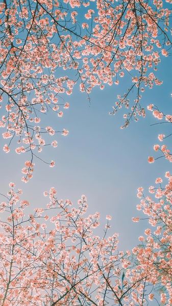 自我疗愈：追女生发什么消息比较好全面解析：原因+方法+避坑指南