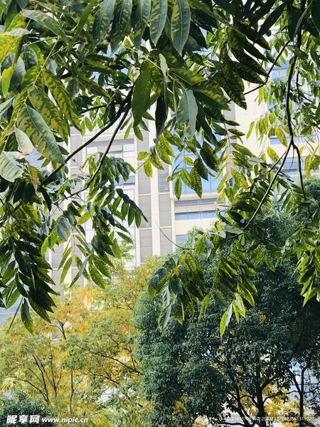 怎么拒绝同事不合理的请求？心理咨询师建议你这样做