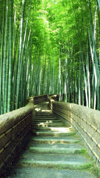 原生家庭伤害了孩子怎么弥补全面解析：原因+方法+避坑指南