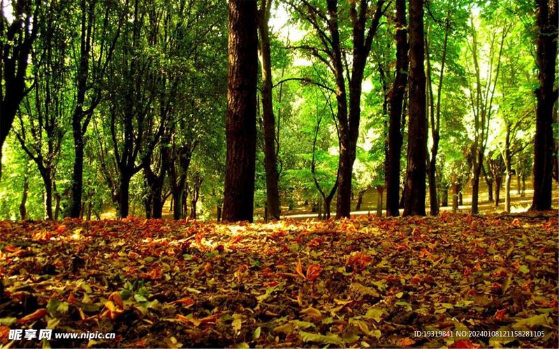 运动可以治抑郁是真的吗的正确打开方式，建议收藏 —— 金钱观