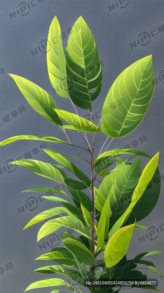 如何建立健康的人际边界