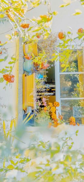 离婚后女人怎么活出自己？换个角度想，问题就解决了一半