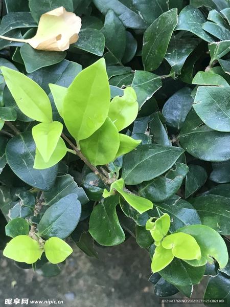 分离焦虑症怎么治疗自救手册：从今天开始改变