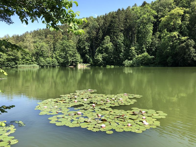 考前焦虑怎么缓解？资深心理师总结的7条建议