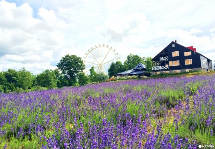 精神内耗严重怎么办？可能你一直理解错了