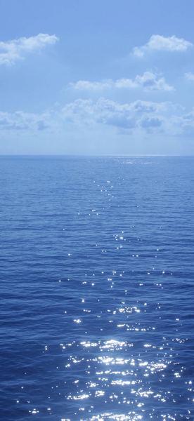 一位怀孕了被公司辞退的读者来信，看哭了无数人