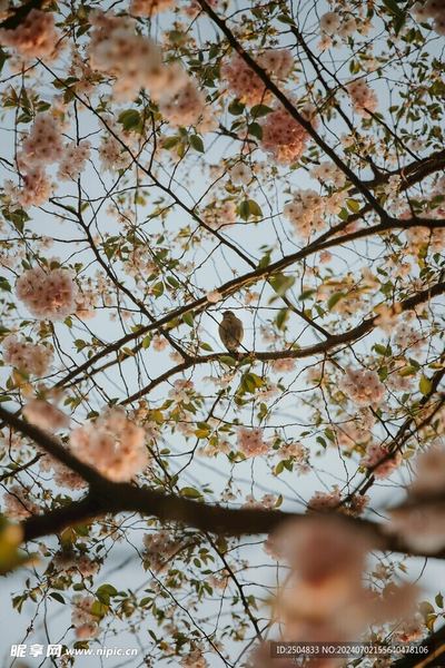 肠道健康与情绪的关系？看完这篇你会豁然开朗