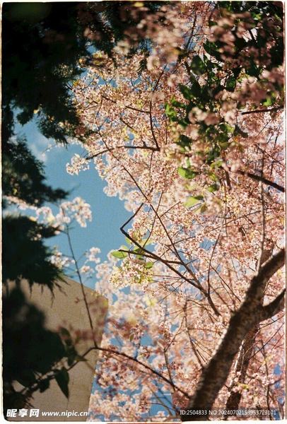 孩子厌学怎么引导：一个过来人的血泪教训