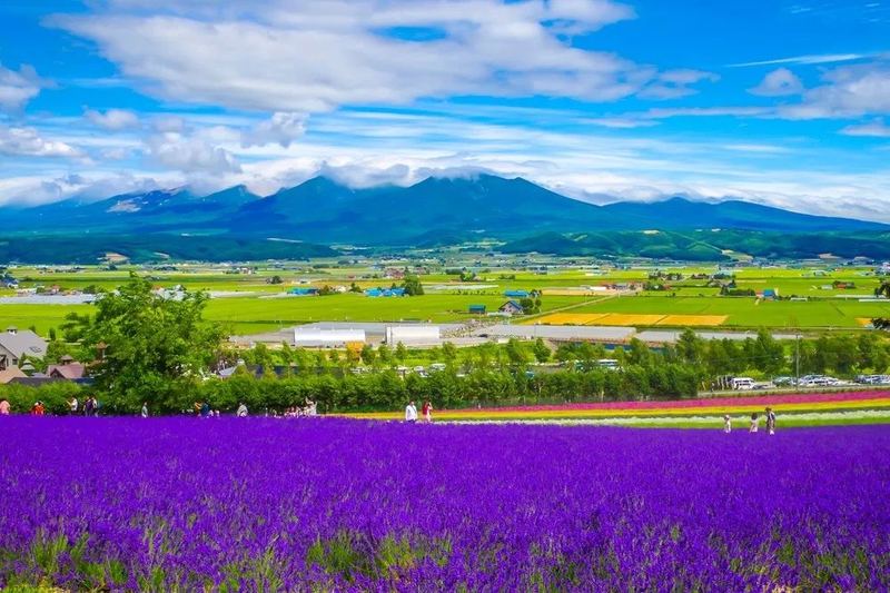 对象脾气大怎么相处？别急着下结论，先看完这篇 —— 走出自卑