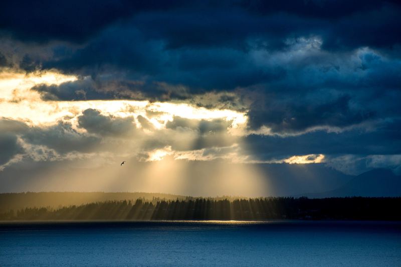 领导总是针对我怎么办？可能你一直理解错了 —— 高效人生必读