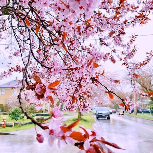 孩子考试焦虑怎么安慰：你需要知道的几个关键点