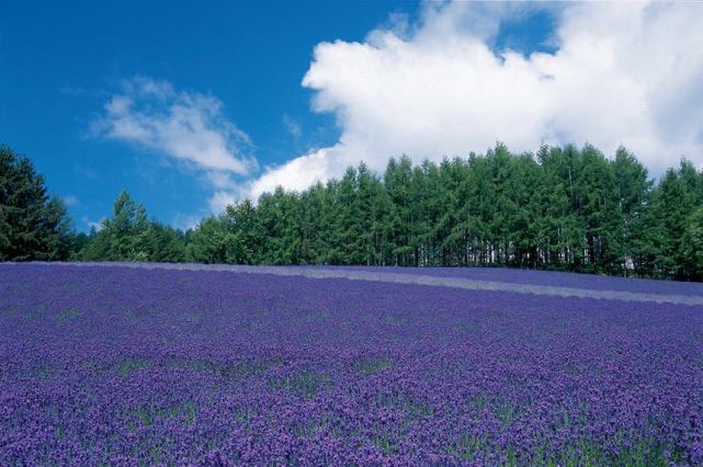 婚姻中的七年之痒怎么度过的亲身经历：从崩溃到释然，我用了三个月