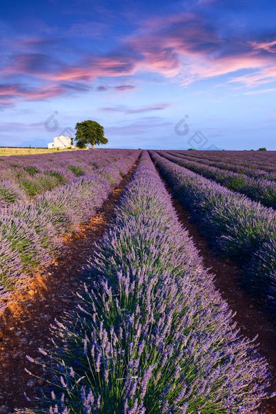 婚姻里没有爱了要离婚吗的5个实用方法，第3个最有效(复杂心理