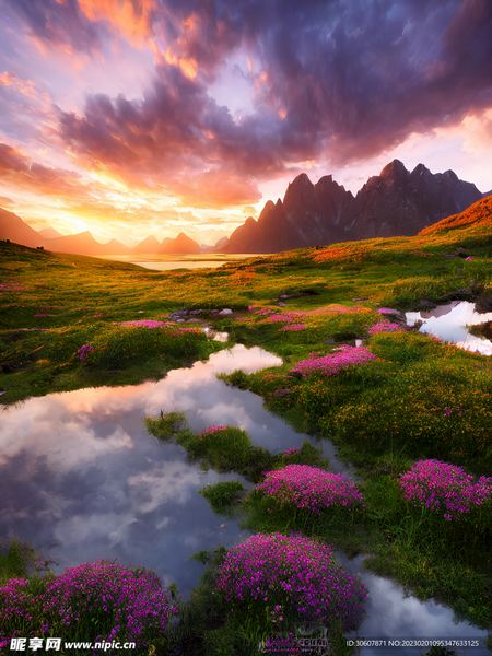 行动力课 | 跳槽频繁影响以后找工作吗？别急着下结论，先看完