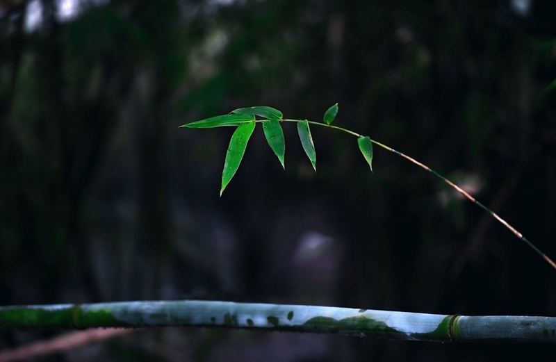 过度在意别人看法怎么改的正确打开方式，建议收藏