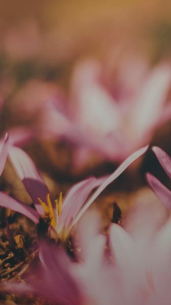 失败了很多次还要坚持吗？先搞清楚这3个问题再做决定