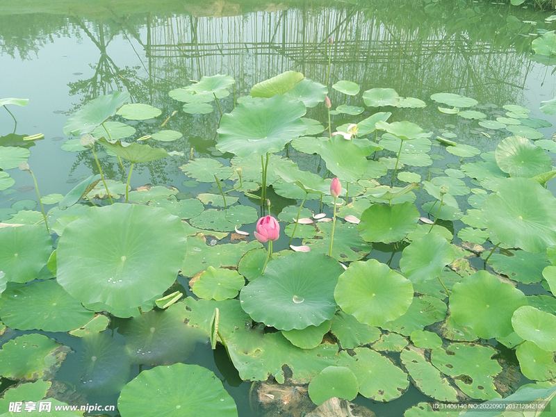 全职妈妈焦虑怎么缓解？心理专家一针见血的分析 —— 习惯重塑