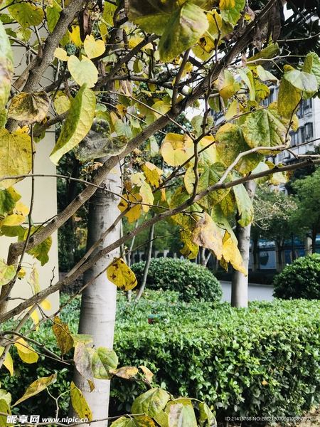 分手后如何快速走出来？心理咨询师的5个建议