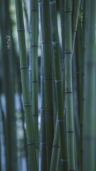 婚前恐惧症怎么克服？可能你一直理解错了