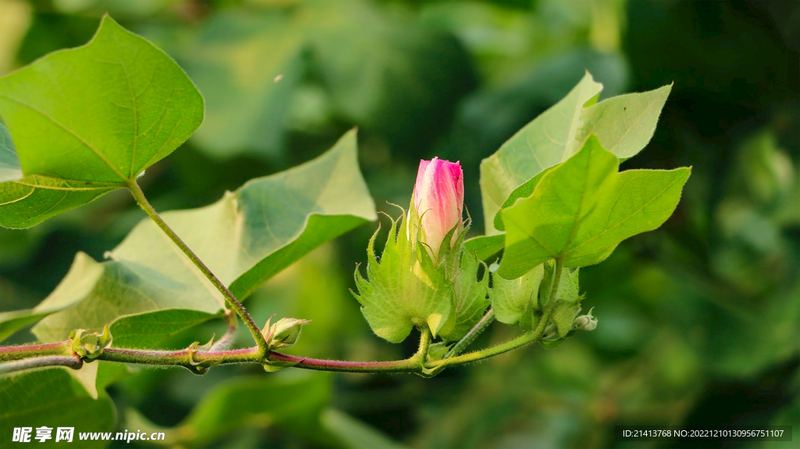 考前焦虑怎么缓解？别慌，看完这篇你就有方向了 —— 高效人生必读