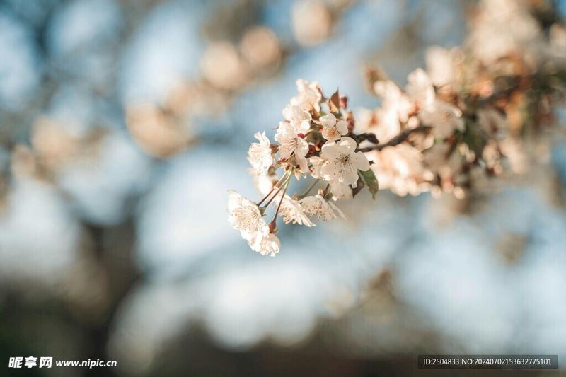 怎么判断对方喜不喜欢你？过来人告诉你真正有用的方法