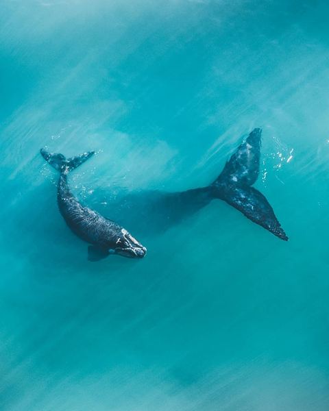 内向的人适合什么工作？过来人告诉你真正有用的方法