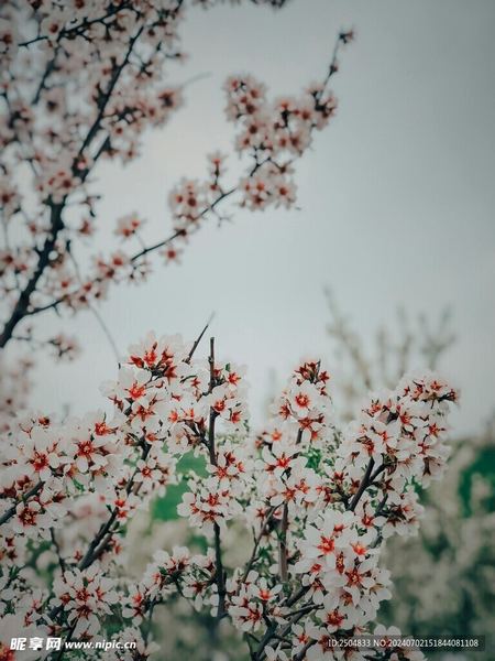 原生家庭伤害了孩子怎么弥补背后的心理学原理，看完就明白了
