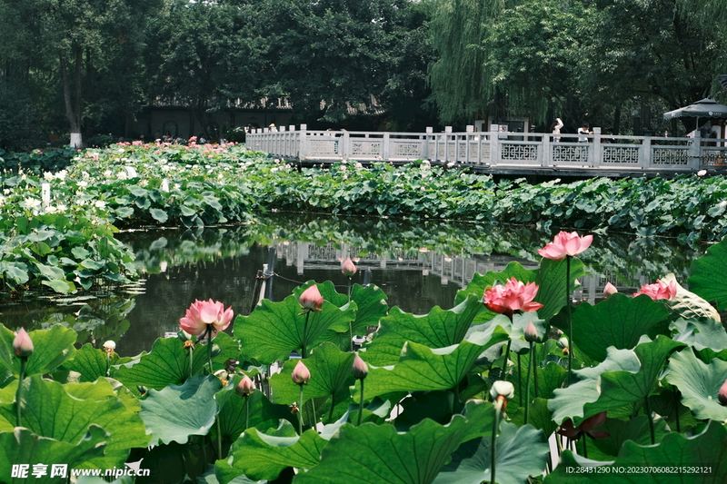 拖延症怎么治：一个过来人的血泪教训