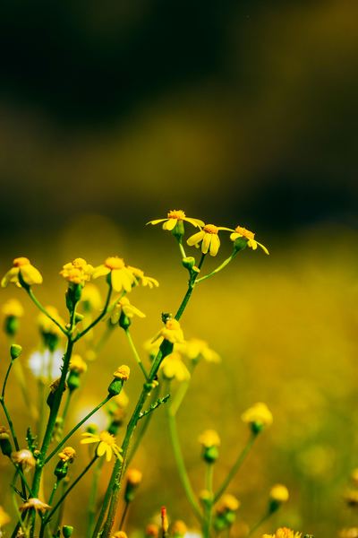 关于孩子在学校被欺负怎么办，一个真实故事改变了我的看法