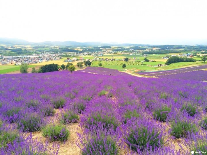 留守儿童心理问题：一个过来人的血泪教训