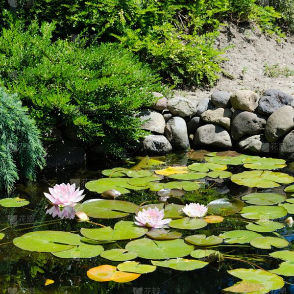 精神内耗严重怎么办？90%的人都踩过这个坑