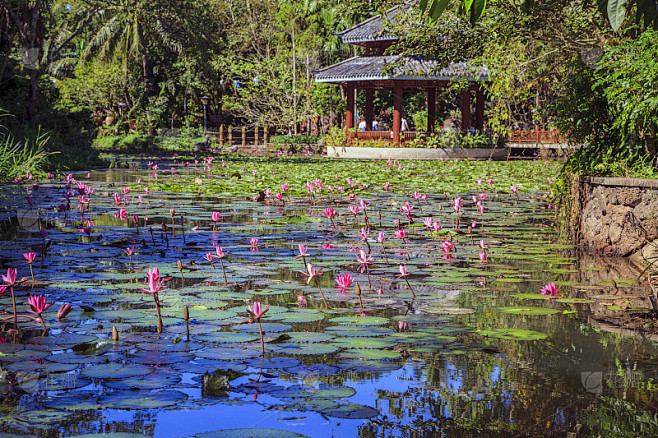 月亮星座比太阳星座更准吗？别慌，看完这篇你就有方向了