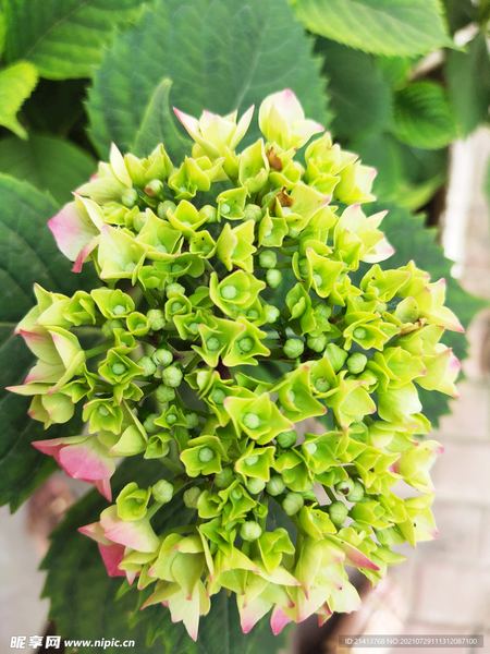 工作越来越没动力，你可能正在经历'职业倦怠' —— 情绪管理