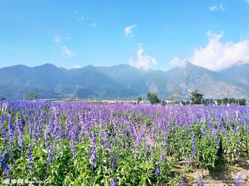 全职妈妈焦虑怎么缓解背后的心理学原理，看完就明白了