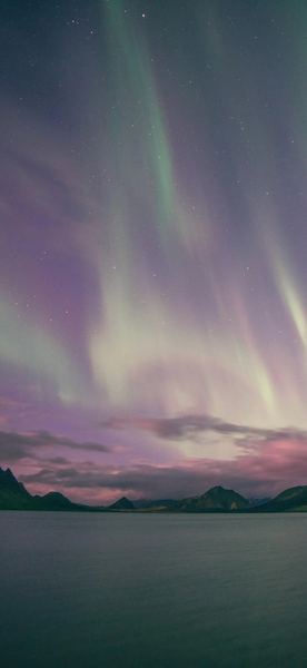 老公不回家怎么处理的正确打开方式，建议收藏 —— 性心理学必