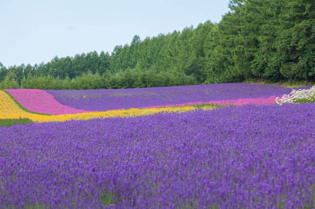 理性消费 | 怎么拒绝同事不合理的请求背后的心理学原理，看完