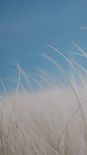 心理咨询师怎么选的5个实用方法，第3个最有效