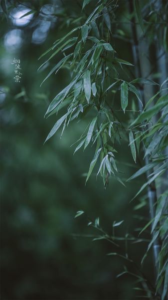 更年期焦虑怎么调理：从心理学视角给出的专业建议 —— 情绪管理必读