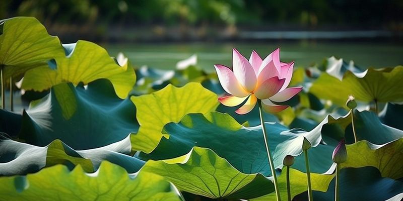 金钱观 | 创业失败负债累累怎么办全面解析：原因+方法+避坑指南